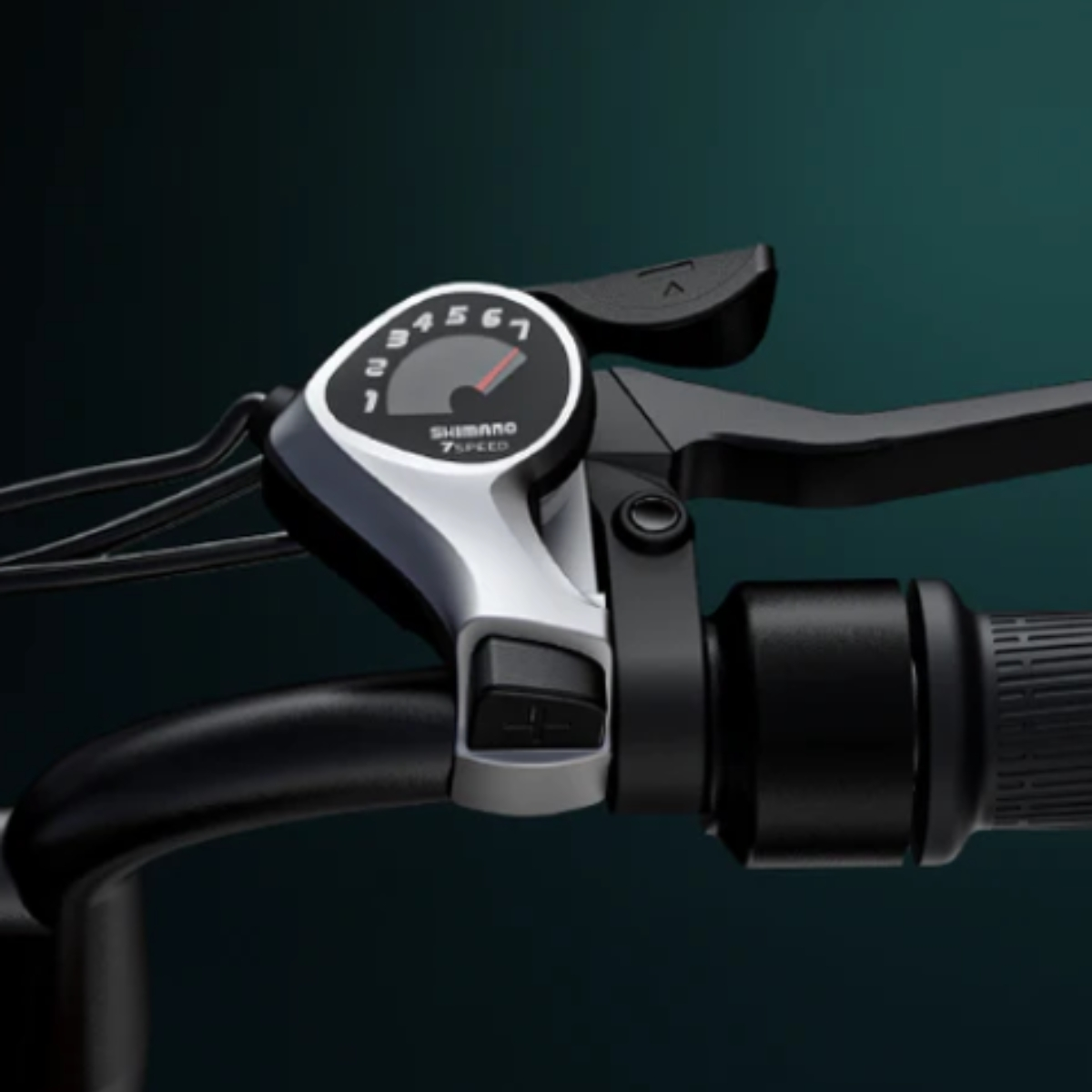 BICICLETA ELECTRICA ENGWE M20 DUAL  250W 48V 13AH_2585.jpg