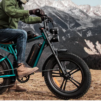 BICICLETA ELECTRICA ENGWE M20 DUAL  250W 48V 13AH_2586.jpg
