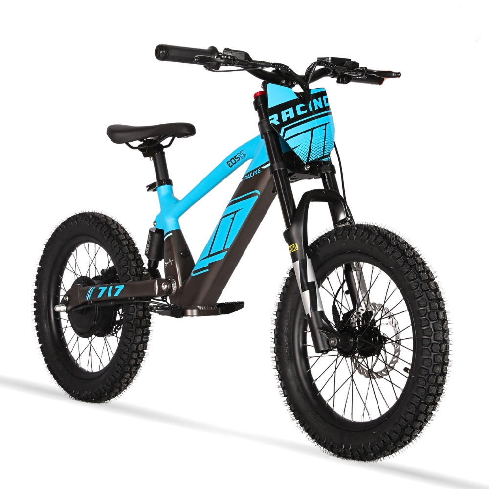 BICI ELECTRICA EOS-18 550W 36V 7.5AH ZIZ.RACING_2416.jpg