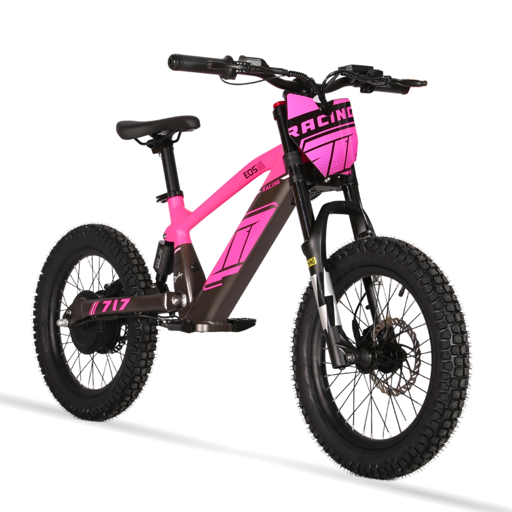 BICI ELECTRICA EOS-18 550W 36V 7.5AH ZIZ.RACING_2419.jpg
