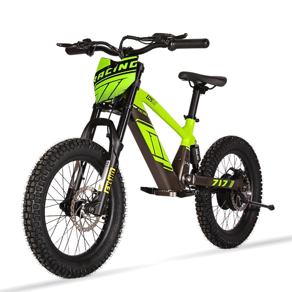 BICI ELECTRICA EOS-18 550W 36V 7.5AH ZIZ.RACING_2421.jpg