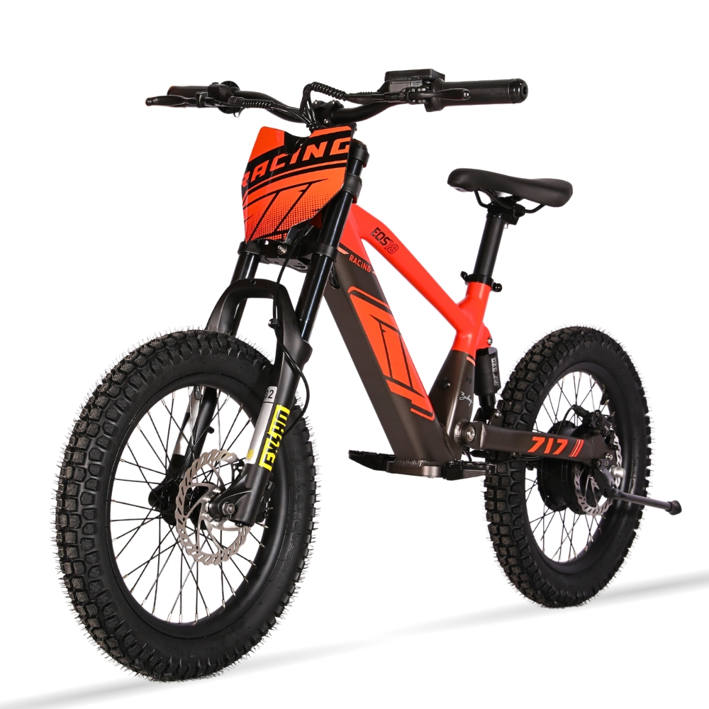 BICI ELECTRICA EOS-18 550W 36V 7.5AH ZIZ.RACING_2422.jpg