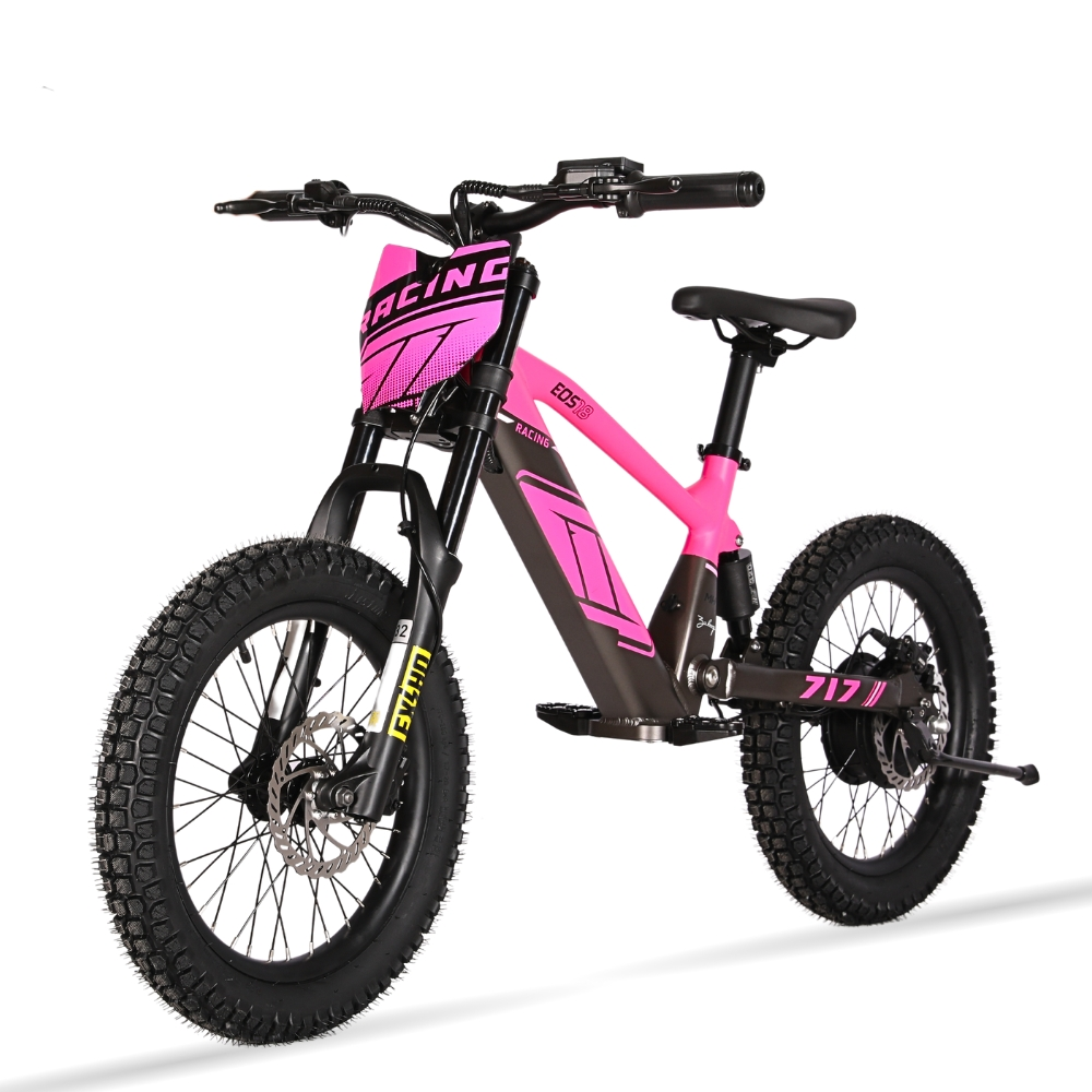 BICI ELECTRICA EOS-18 550W 36V 7.5AH ZIZ.RACING_2423.jpg