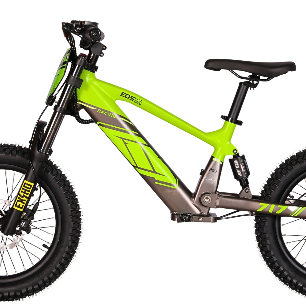 BICI ELECTRICA EOS-18 550W 36V 7.5AH ZIZ.RACING_2424.jpg