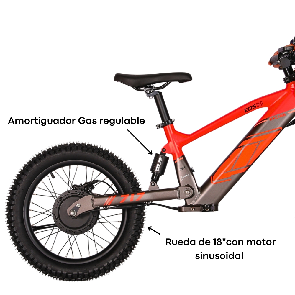 BICI ELECTRICA EOS-18 550W 36V 7.5AH ZIZ.RACING_2425.jpg