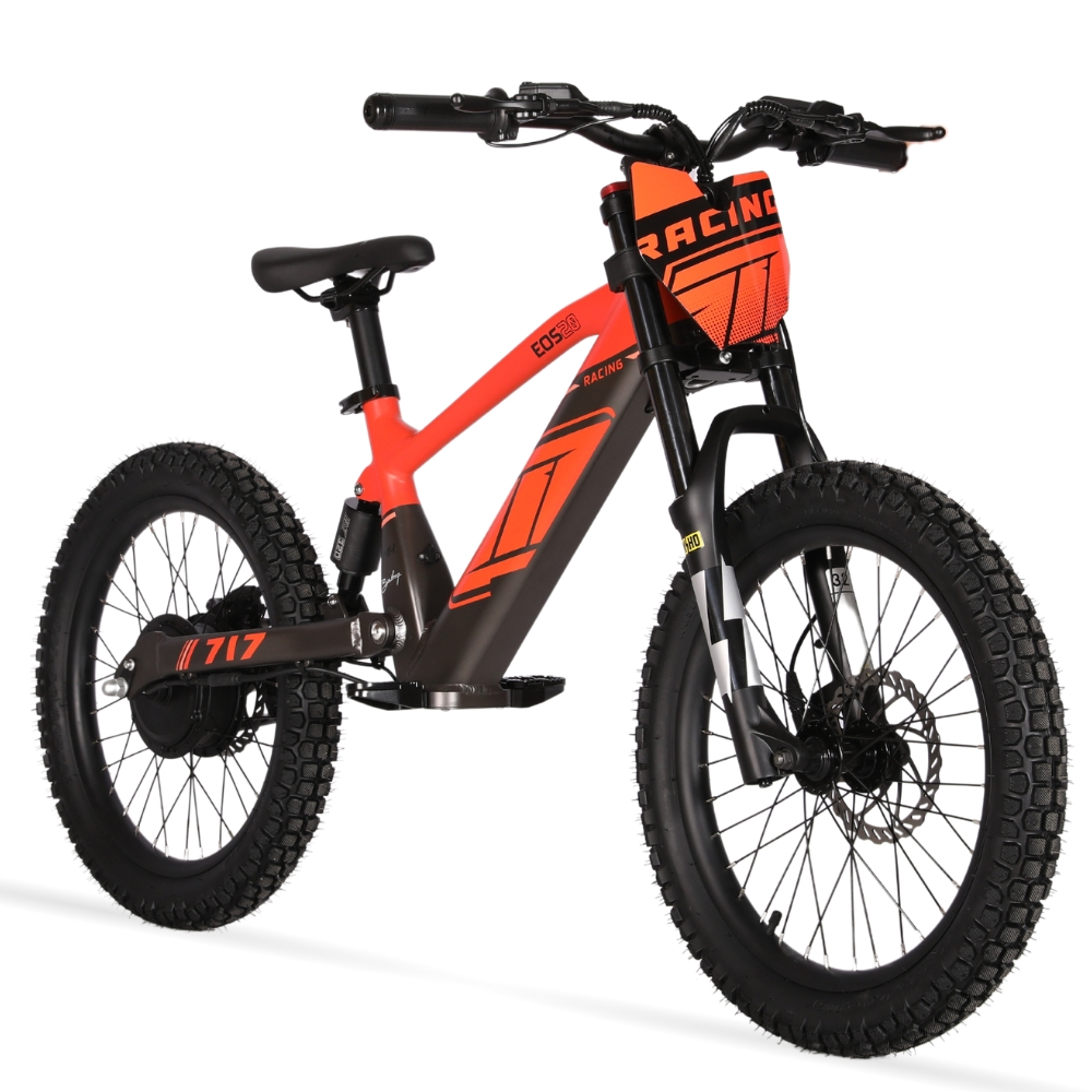 BICI ELECTRICA EOS-20 550W 36V 7.5AH ZIZ.RACING_2427.jpg
