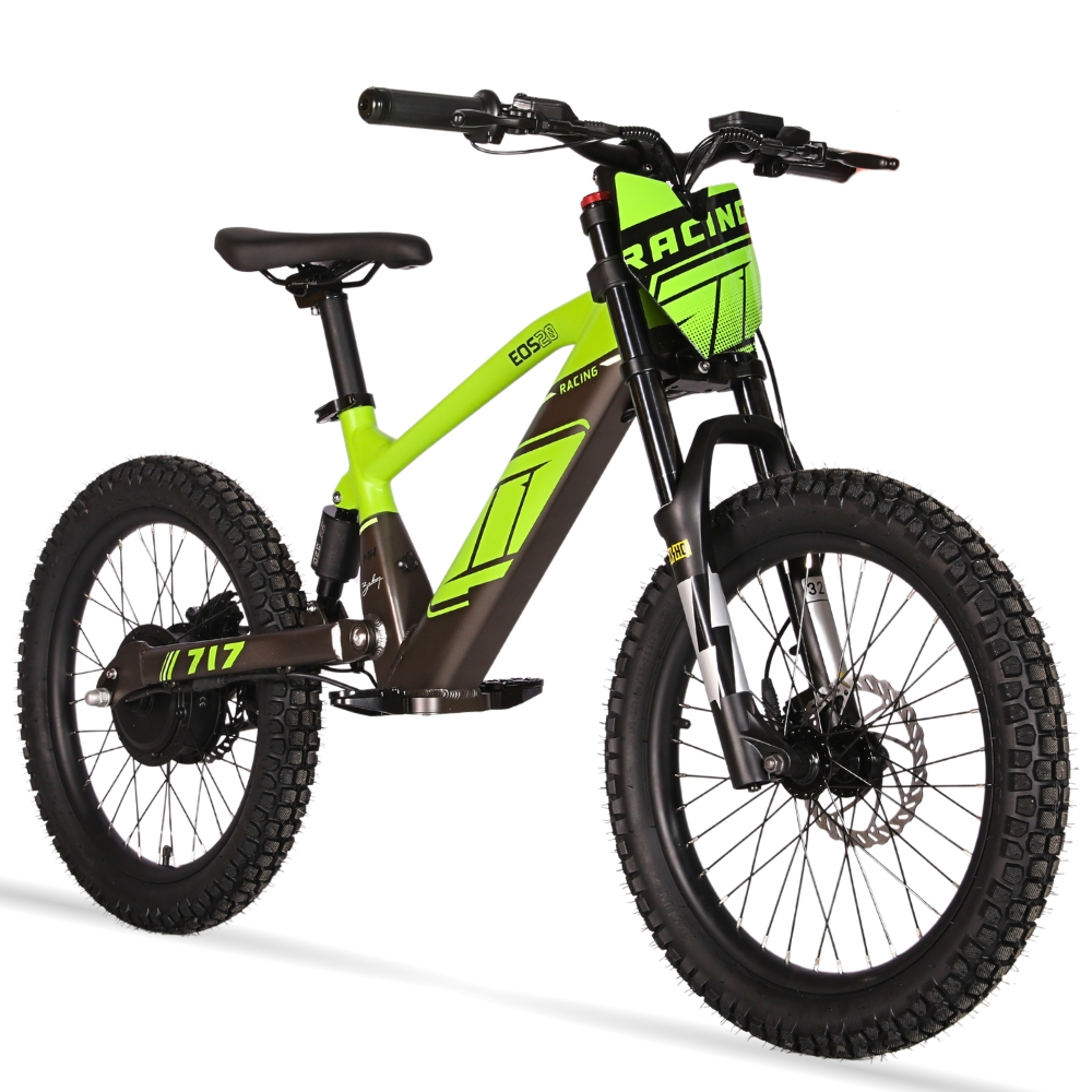 BICI ELECTRICA EOS-20 550W 36V 7.5AH ZIZ.RACING_2428.jpg