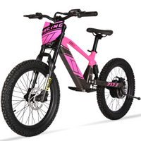 BICI ELECTRICA EOS-20 550W 36V 7.5AH ZIZ.RACING_2429.jpg