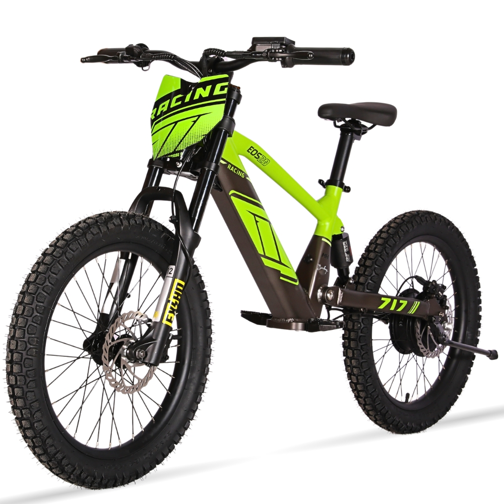 BICI ELECTRICA EOS-20 550W 36V 7.5AH ZIZ.RACING_2430.jpg