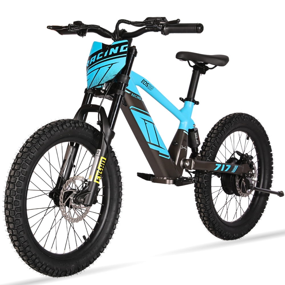 BICI ELECTRICA EOS-20 550W 36V 7.5AH ZIZ.RACING_2431.jpg