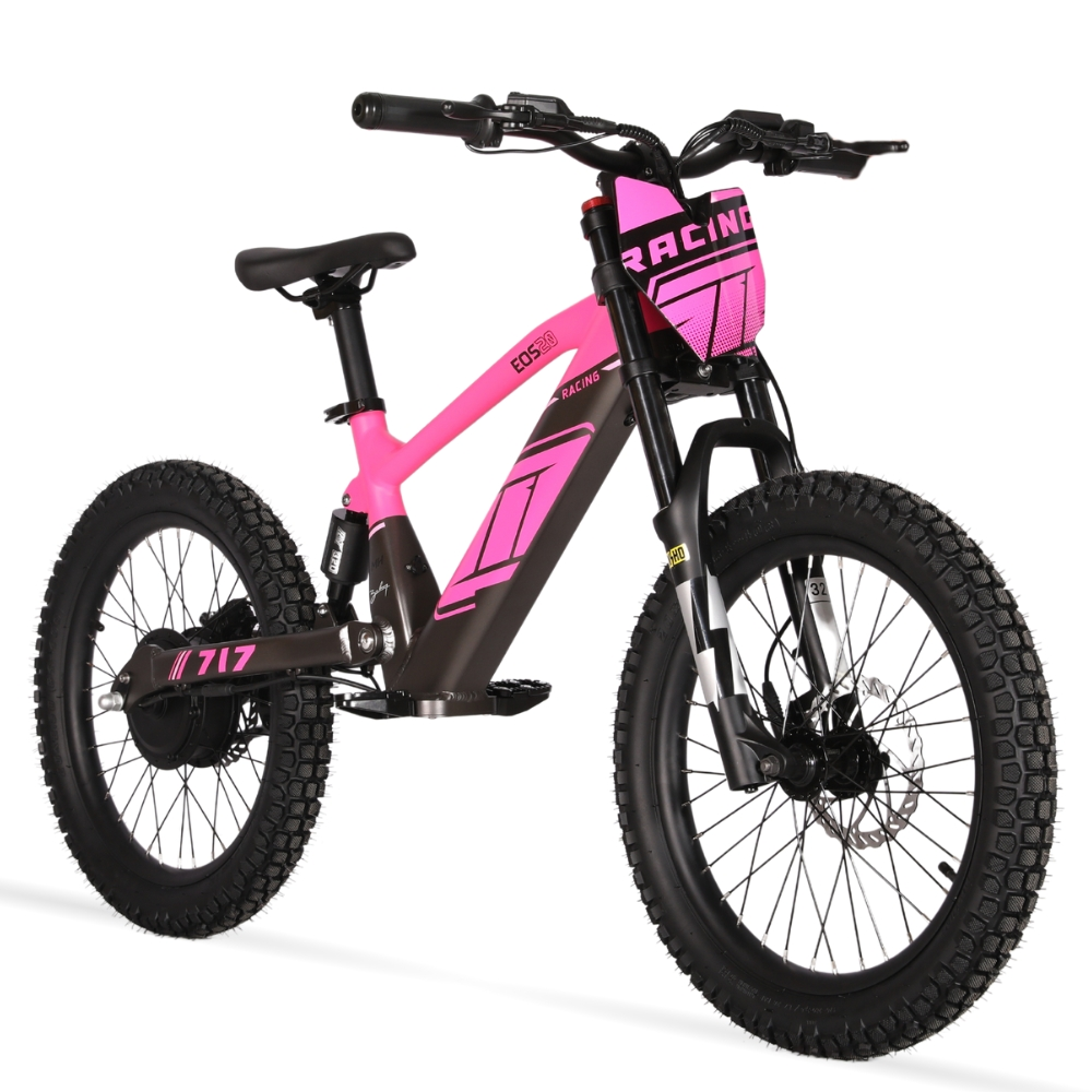 BICI ELECTRICA EOS-20 550W 36V 7.5AH ZIZ.RACING_2432.jpg