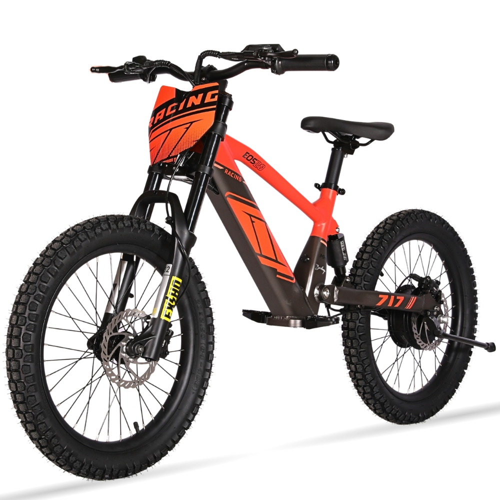 BICI ELECTRICA EOS-20 550W 36V 7.5AH ZIZ.RACING_2433.jpg