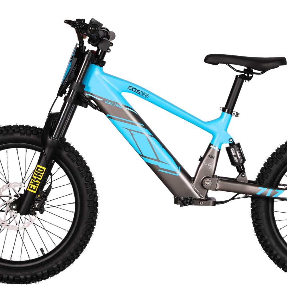 BICI ELECTRICA EOS-20 550W 36V 7.5AH ZIZ.RACING_2434.jpg