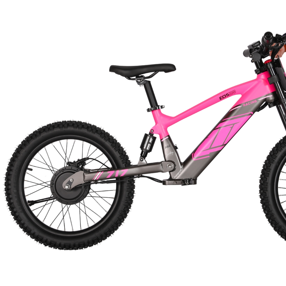 BICI ELECTRICA EOS-20 550W 36V 7.5AH ZIZ.RACING_2436.jpg