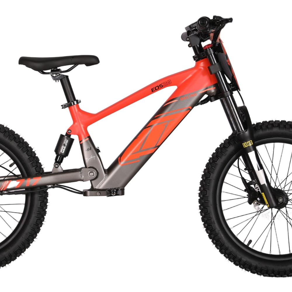 BICI ELECTRICA EOS-20 550W 36V 7.5AH ZIZ.RACING_2437.jpg