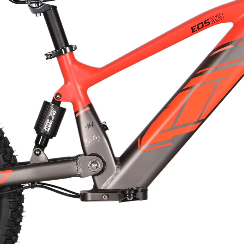 BICI ELECTRICA EOS-20 550W 36V 7.5AH ZIZ.RACING_2438.jpg