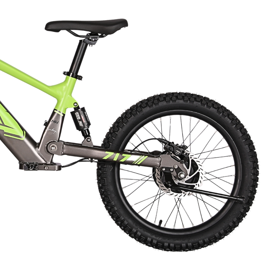 BICI ELECTRICA EOS-20 550W 36V 7.5AH ZIZ.RACING_2439.jpg