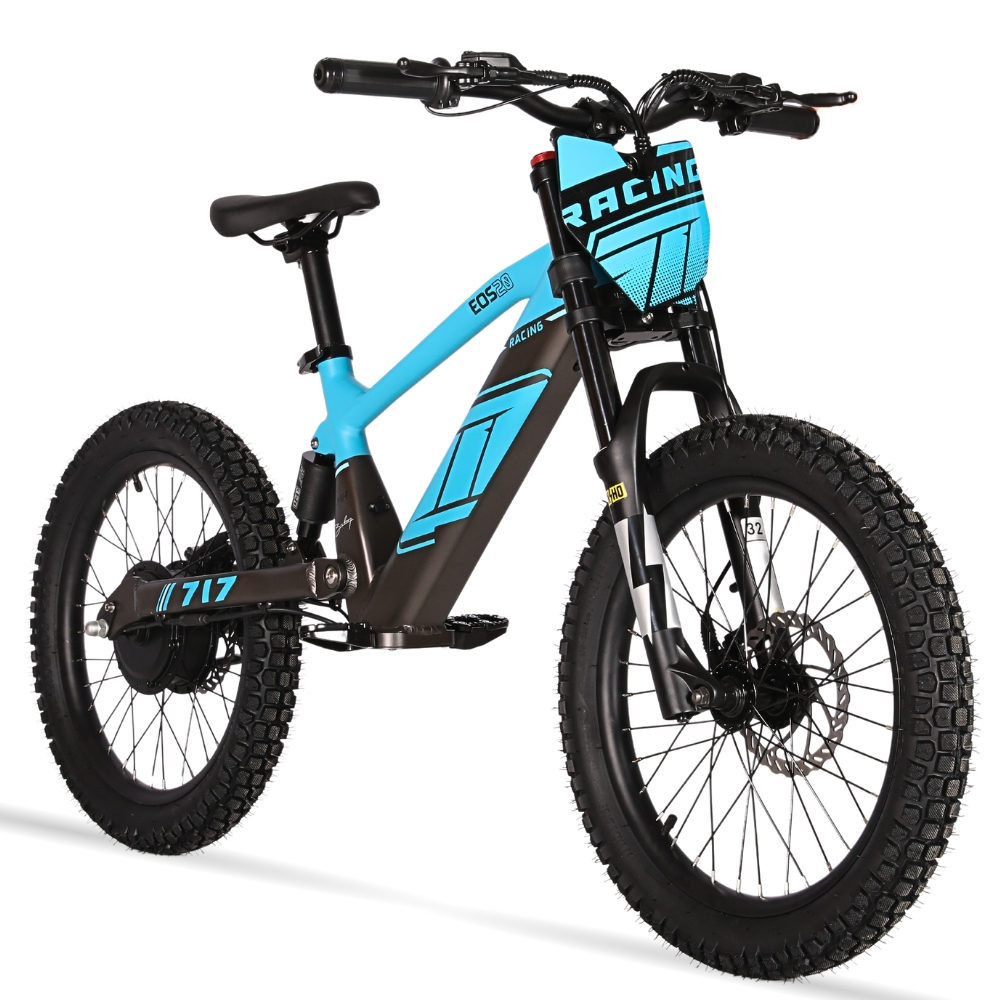 BICI ELECTRICA EOS-20 550W 36V 7.5AH ZIZ.RACING_2440.jpg