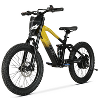 BICI ELECTRICA EOS-20 550W 36V 7.5AH ZIZ.RACING_5819.jpg