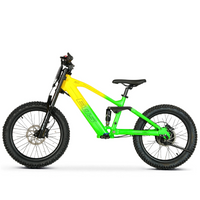 BICI ELECTRICA EOS PRO R20 750W 48V ZIZ.RACING_5717.jpg