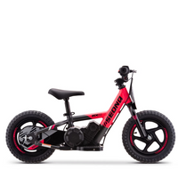 BICI ELECTRICA SEDNA MX12 100W 24V 2.6AH BRUSHLESS_2132.jpg