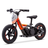 BICI ELECTRICA SEDNA MX12 100W 24V 2.6AH BRUSHLESS_2136.jpg