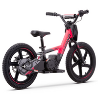 BICI ELECTRICA SEDNA MX16 250W 24V 5.2AH BRUSHLESS_2098.jpg