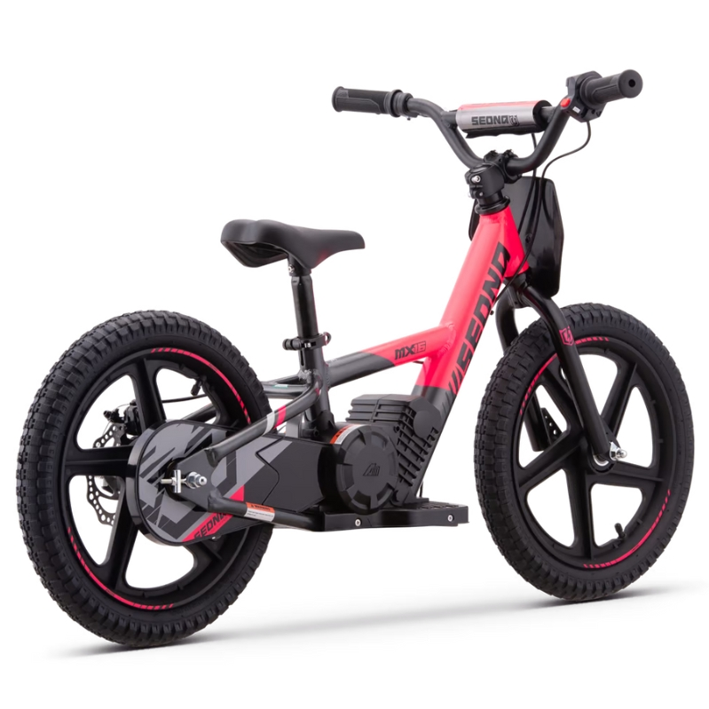 BICI ELECTRICA SEDNA MX16 250W 24V 5.2AH BRUSHLESS_2098.jpg