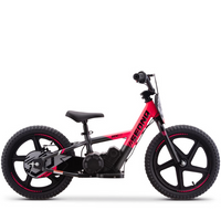 BICI ELECTRICA SEDNA MX16 250W 24V 5.2AH BRUSHLESS_2099.jpg