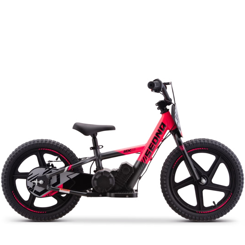 BICI ELECTRICA SEDNA MX16 250W 24V 5.2AH BRUSHLESS_2099.jpg