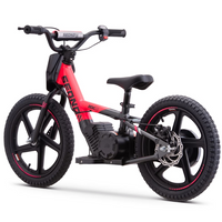 BICI ELECTRICA SEDNA MX16 250W 24V 5.2AH BRUSHLESS_2100.jpg