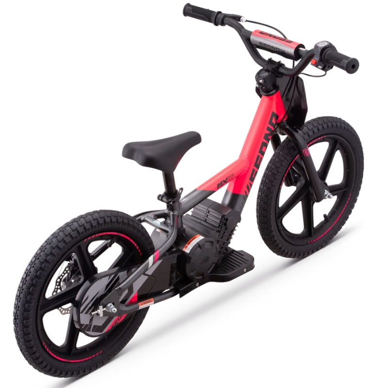 BICI ELECTRICA SEDNA MX16 250W 24V 5.2AH BRUSHLESS_2101.jpg