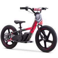 BICI ELECTRICA SEDNA MX16 250W 24V 5.2AH BRUSHLESS_2104.jpg