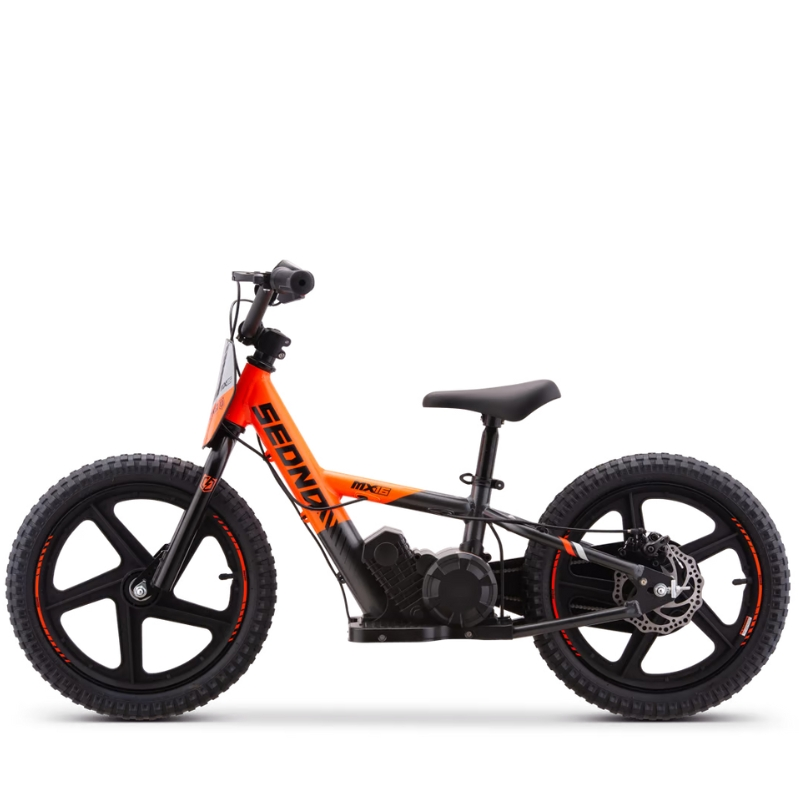BICI ELECTRICA SEDNA MX16 250W 24V 5.2AH BRUSHLESS_2114.jpg