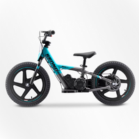 BICI ELECTRICA SEDNA MX16 250W 24V 5.2AH BRUSHLESS_911.jpg