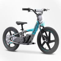 BICI ELECTRICA SEDNA MX16 250W 24V 5.2AH BRUSHLESS_918.jpg