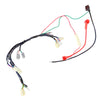 CABLEADO ELECTRICO PIT BIKE DELTA AUTOMATICA