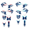 KIT ADHESIVOS PIT BIKE DELTA 110CC