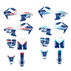 KIT ADHESIVOS PIT BIKE DELTA 90CC