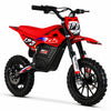MINICROSS ELÉCTRICA NEO-E 1000W 36V 10" ZIZ.RACING