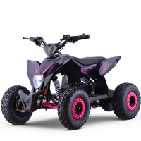 MINI QUAD ELECTRICO 1000W 36V FACTORY OVEX_2191.jpg