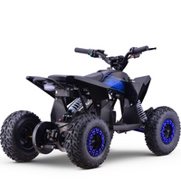 MINI QUAD ELECTRICO 1000W 36V FACTORY OVEX_2196.jpg