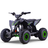 MINI QUAD ELECTRICO 1000W 36V FACTORY OVEX_2198.jpg