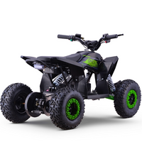 MINI QUAD ELECTRICO 1000W 36V FACTORY OVEX_2199.jpg