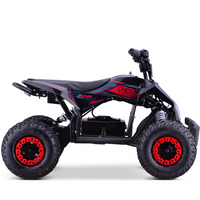 MINI QUAD ELECTRICO 1000W 36V FACTORY OVEX_2202.jpg