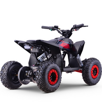 MINI QUAD ELECTRICO 1000W 36V FACTORY OVEX_2203.jpg