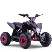 MINI QUAD ELECTRICO 1000W 36V FACTORY OVEX_2205.jpg