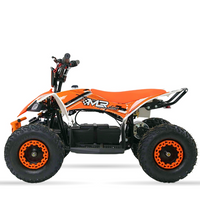 MINI QUAD ELECTRICO 1000W 48V MR30 RAPTOR _1966.jpg