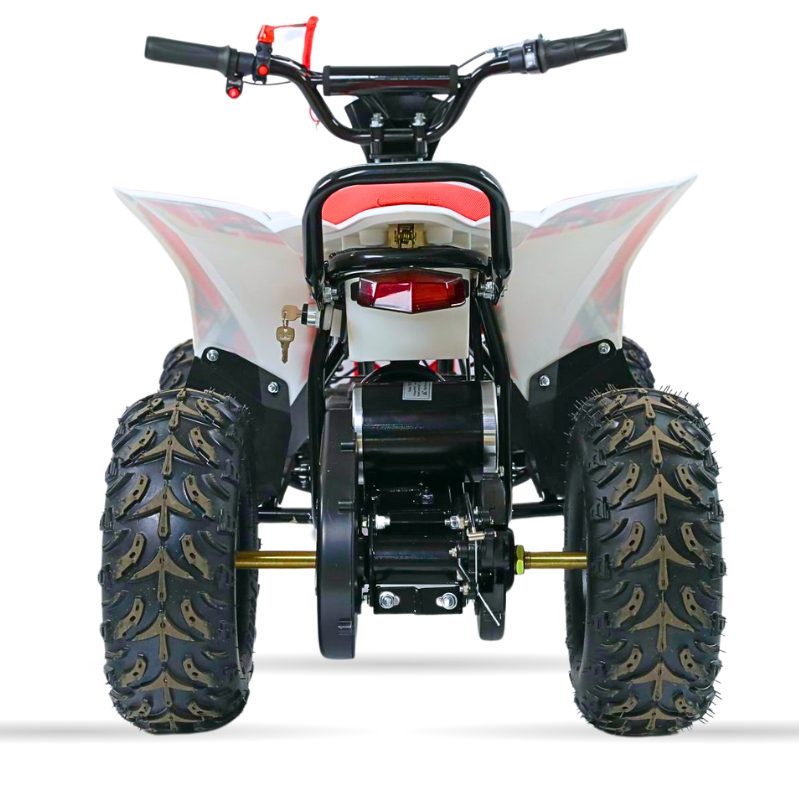 MINI QUAD ELECTRICO 1000W 48V MR30 RAPTOR _1968.jpg