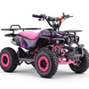 MINI QUAD GASOLINA 49CC 2T EAGLE KRX R6